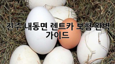 진주 내동면 렌트카 보험 완벽 가이드! 🚗💨