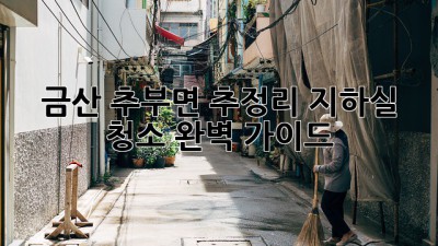 금산 추부면 추정리 지하실 청소 완벽 가이드