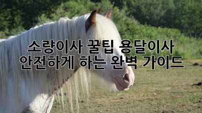 소량이사 꿀팁🍯 용달이사 안전하게 하는 완벽 가이드!